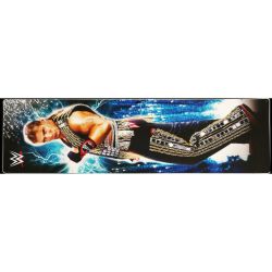WWE LE Backbox Decal - Right